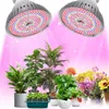 26W 200 LED Pflanzenlampe Vollspektrum E27 für Produktbild-Vorschau 11