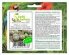 15x Gibbaeum comptonii Zwergsukkulente Sukkulenten Garten Produktbild-Vorschau 1