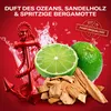 Deodorant ve spreji Old Spice Captain pro muže, 250 ml, 48 Náhled obrázku produktu 7