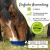 PHA Muskel&Leistung für Pferde 850 g Produktbild-Vorschau 5