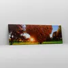 Bild auf Leinwand - Leinwandbild - Baum Park Frühling Herz Produktbild-Vorschau 4