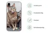 MuchoWow® Handyhülle Schutzhülle Hülle für iPhone XR Katze Produktbild-Vorschau 7