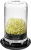 Sprossenglas BIVITA® Produktbild-Vorschau 4