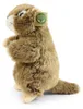 Marmotta di peluche, 23 cm, ecologica Anteprima dell’immagine prodotto 3