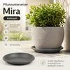 Pflanztopfuntersetzer Mira Anthrazit Ø 24cm - Frostsicher & Produktbild-Vorschau 7