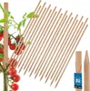 KOTARBAU® 20er Set Pflanzstäbe 80cm Tomaten & Gurken Produktbild-Vorschau 1