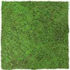 JANGAL Modular Wall Akustik 3D Paneele  520 x 520 mm Forest Produktbild-Vorschau 1