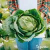 Nawóz organiczny z wełny owczej – granulat (5 kg na 50 m2) Podgląd zdjęcia produktu 8