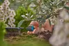 GARDENA Endtropfer für Tropfschlauch Micro-Drip-System 1,8 Produktbild-Vorschau 8