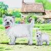 Diamantmosaik Craft Buddy Westie Hunde 18x18cm Produktbild-Vorschau 1