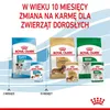 Royal Canin Mini Puppy, Welpe, 85 g Produktbild-Vorschau 17