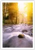 Poster - Poster ohne Rahmen - Herbst Wald Berg Fluss - Produktbild-Vorschau 1