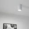A white cylindrical ceiling light is mounted on a white ceiling. Náhled obrázku produktu