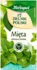 Tee Minze 2 g x 20 Stück Zielnik Polski Produktbild-Vorschau 3