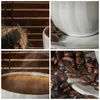 Bild auf Leinwand - Leinwandbild - Aroma Kaffee Getreide - Produktbild-Vorschau 8