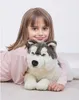 A young girl is lying on the floor, hugging a plush husky dog. Produktbild-Vorschau