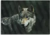Leinwandbild grauer wolf 60x40 cm Feeby grau wandbild Produktbild-Vorschau 3