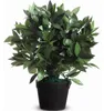 PAPERFLOW PALAU50 Plante artificielle Laurier 50 cm Voir les images du produit 6