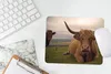 MuchoWow® Mauspad Mousepad Schottischer Highlander - Tiere Produktbild-Vorschau 5