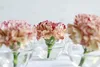 Kugelglas im Durchmesser 6, 8, 10 und 12cm wählbar | Produktbild-Vorschau 5
