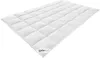 fjödur Mittelwarm Bio Daunenbettdecke 135x200cm "fjödur Produktbild-Vorschau 1