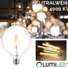 A large, clear glass LED bulb is shown in the foreground, with a background of many illuminated Edison-style bulbs. A close-up inset shows the filament of the bulb. Produktbild-Vorschau