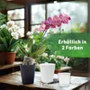 Leni FLORI orchid Orchideentöpfe 4er Komplett-Set Ø 13 cm H Produktbild-Vorschau 3