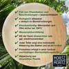 Moritz & Moritz 75x Palmblatt Teller Rund 20cm Produktbild-Vorschau 6