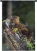 MuchoWow® Wandteppich Wandbehang Marder - Baum - Wald 60x90 Produktbild-Vorschau 1