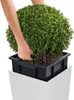 Lechuza Samozavlažovací květináč Cubico Premium 30 cm, bílá Náhled obrázku produktu 29