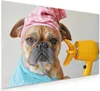 Küchenrückwand Spritzschutz Glas mit Motiv Hund mit Produktbild-Vorschau 1