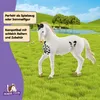 Schleich Horse Club Marwari Hengst 14898 Produktbild-Vorschau 6