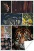 MuchoWow® Poster Tiger - Collage - Bäume - Blumen 80x120 cm Produktbild-Vorschau 1