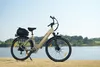 28Zoll City E-Bike Rostfreie Aluminiumlegierung 36 V 18 Ah Produktbild-Vorschau 6