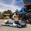 Ruffwear Hemp Hound™ Sweater Jacke, Farbe:Slate Blue, Produktbild-Vorschau 5