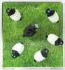 Magnete SHEEP 6er Set weiss/schwarz Produktbild-Vorschau 4