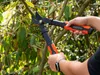 Troncarami BLACK+DECKER 38,1 x 17,8 x 3 CM 560 G Anteprima dell’immagine prodotto 3