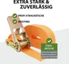 5x Spanngurt mit Ratsche 1-tlg 4m 800kg 25mm orange Produktbild-Vorschau 5