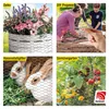 horizont Maschendrahtzaun | verzinkt | Maschenweite 13 x 25 Produktbild-Vorschau 2