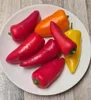 15x  Mini Snack Paprika Mix Reich an Vitamin C. Gemüse Produktbild-Vorschau 2