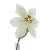 GASPER Weihnachtsstern - Poinsettie Weiß 60 cm - Produktbild-Vorschau 2