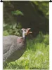 MuchoWow® Wandteppich Wandbehang Perlhuhn - Vogel - Kopf Produktbild-Vorschau 1