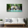 Acrylglasbilder 100x50 Wandbild Druck Wasserfall Baum Natur Produktbild-Vorschau 3