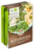 Artikelbild 2 von 'BIO Microgreen Box inkl. 4 Keimpads' aus der Kategorie Anzuchtsets Produktbild-Vorschau