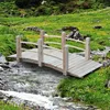 Gartenbrücke Holzbrücke Holzsteg Teichbrücke Zierbrücke mit Produktbild-Vorschau 2