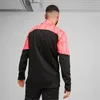 Puma Individualfinal Ff. 14 Zip-top 65926257 Herren Produktbild-Vorschau 2