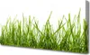 Tulup Leinwand-Bilder 125x50 Wandbild Canvas Kunstdruck Produktbild-Vorschau 1