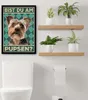 Yorkshire Terrier - Bist du am Pupsen? Hunde Poster Produktbild-Vorschau 2