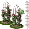TTL GARDEN Rankhilfe Obelisk L 165x40cm braun 4er Set – Produktbild-Vorschau 1