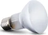 Repti-Zoo Beam Spot 75W - Lampadina riscaldante spot Anteprima dell’immagine prodotto 1